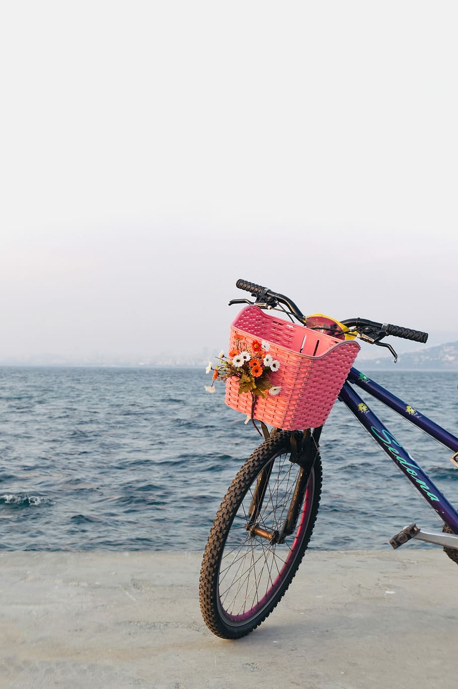 Bicycle by the sea, bike parked on sea, basket, pink, flowers, HD wallpaper