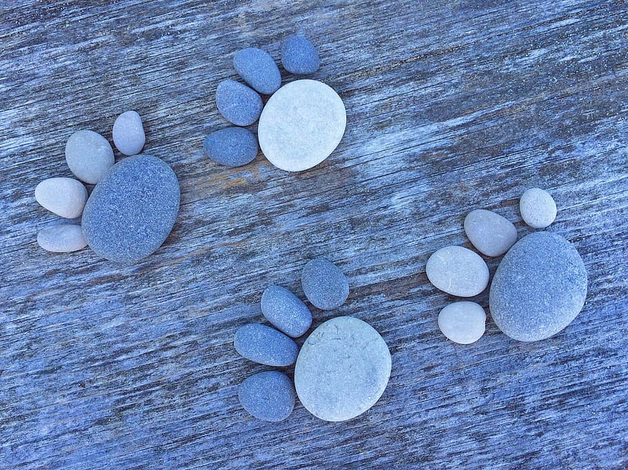 gray and white stone fragments, rock, art, craft, paw, prints HD wallpaper