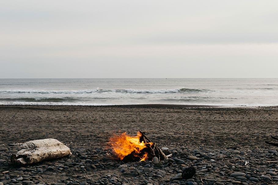 painting of bonfire near on seat shore, beach, brown, gray, orange HD wallpaper