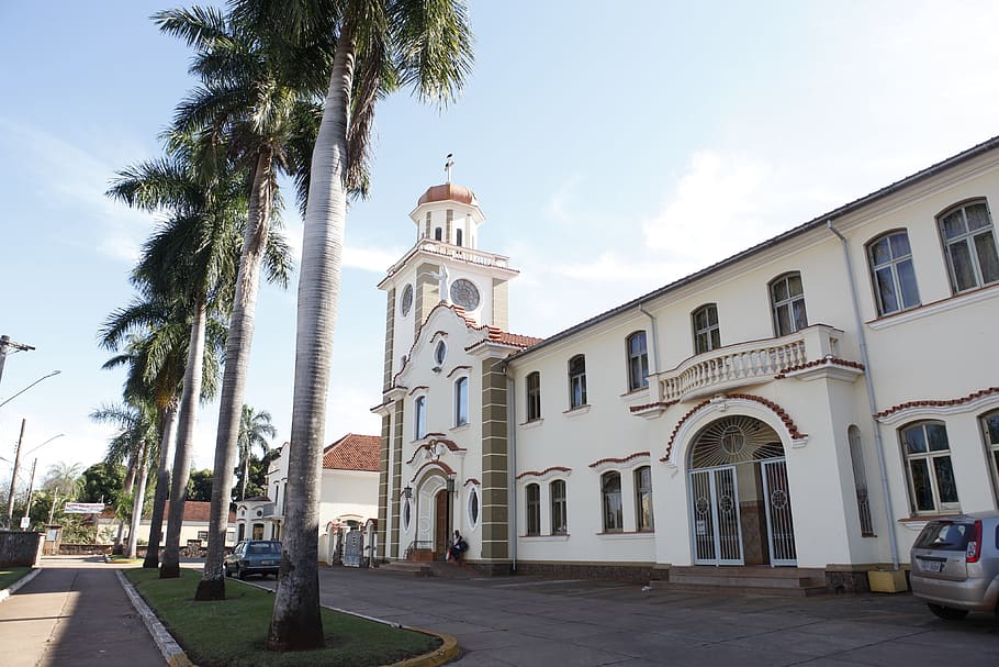 church, catholic, palm tree, building exterior, architecture HD wallpaper