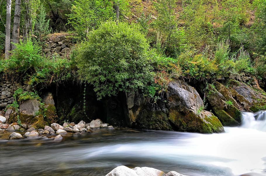 River, Landscape, Turkey, Nature, Green, open air, ispir, black sea