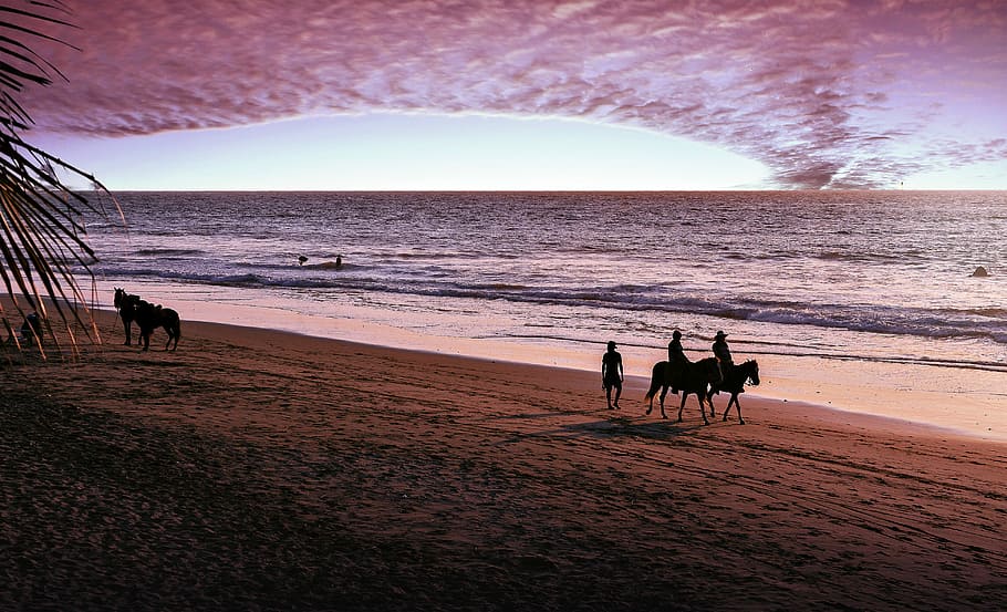 sunset, sand, beach, horizontal, outdoors, costa, landscape HD wallpaper
