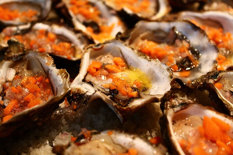 Oyster, Kitchen, Shells, Gastronomy, seafood, no people, crustacean HD wallpaper