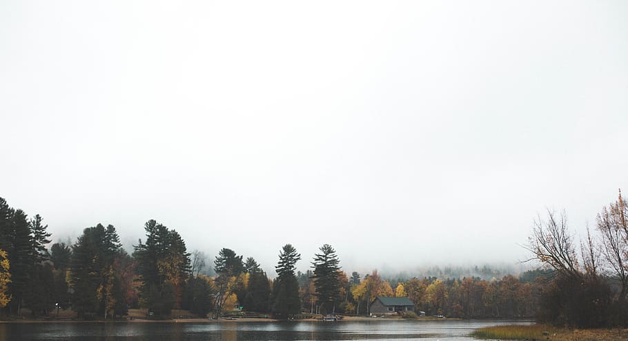 trees, plant, nature, fall, autumn, house, lake, water, grass HD wallpaper