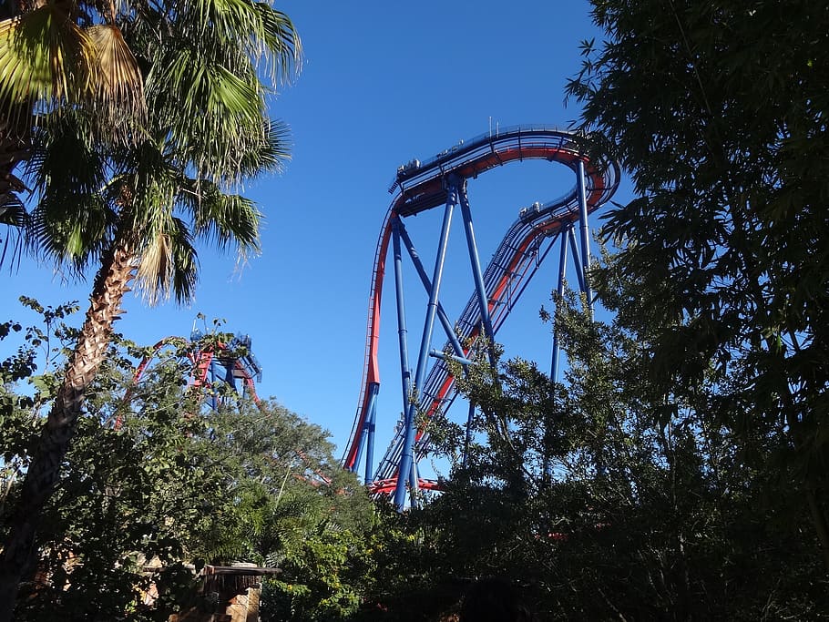 park, roller coaster, fun, tree, amusement park, plant, amusement park ride HD wallpaper