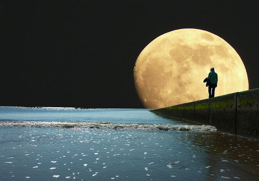 silhouette person staring at the full moon, sea, evening, night, HD wallpaper