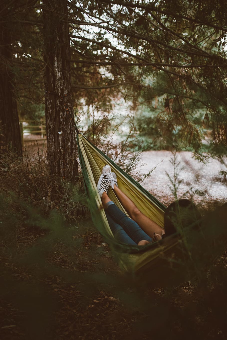 person on yellow hammock hanging on tree, person wearing blue jeans on green and yellow hammock HD wallpaper