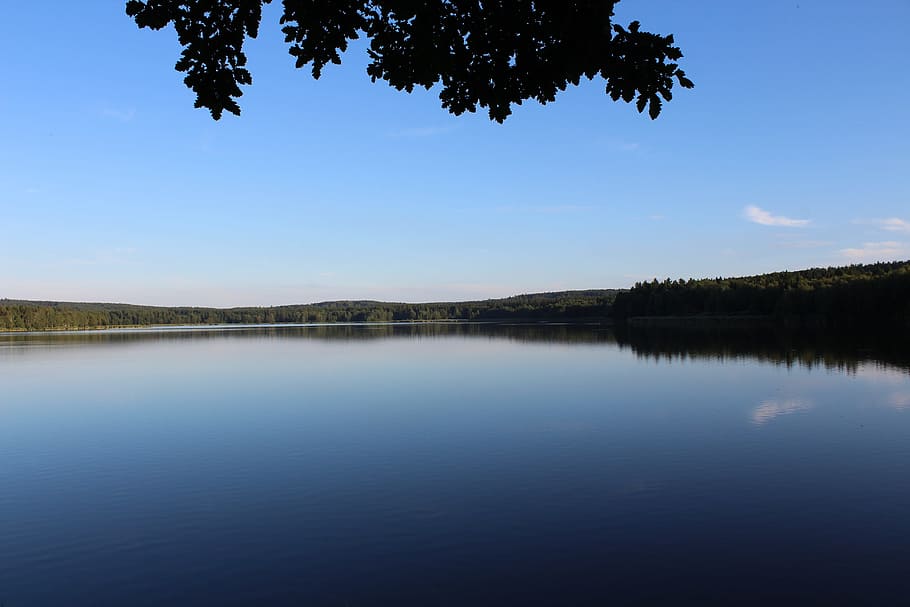 pond, nature, surface, landscape, water, tranquility, tree HD wallpaper