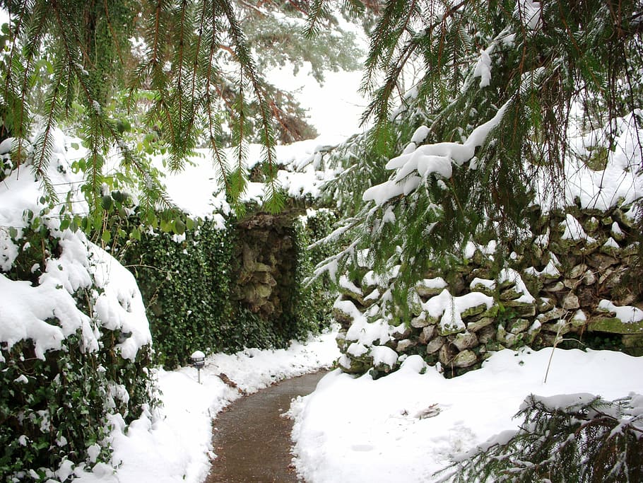 grotto, prayer, path, winter, religion, our lady of lourdes HD wallpaper