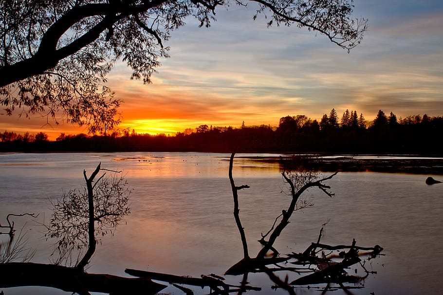 sunset, water, nature, sky, landscape, sunlight, scenic, tree HD wallpaper