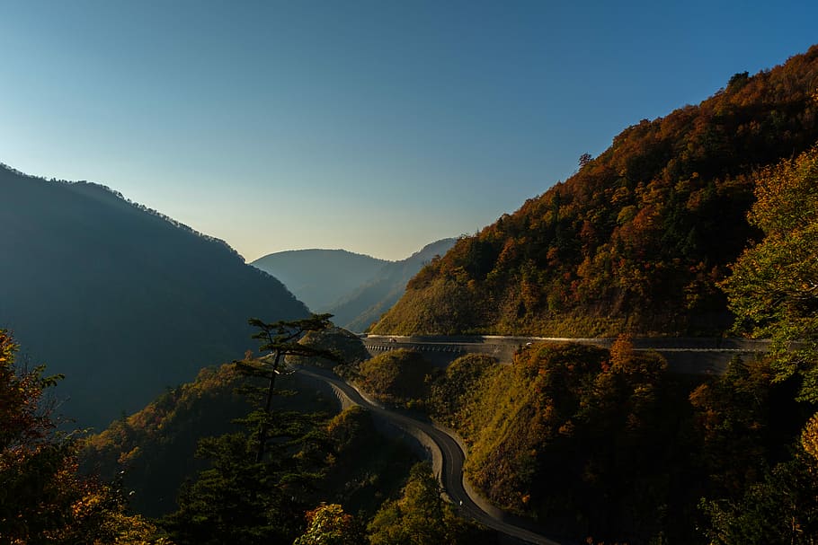 aerial photography of mountain, aerial photo of mountain, track HD wallpaper