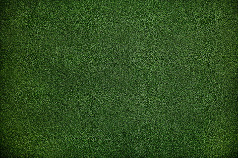 untitled, texture, grass, pattern, field, green, green color HD wallpaper
