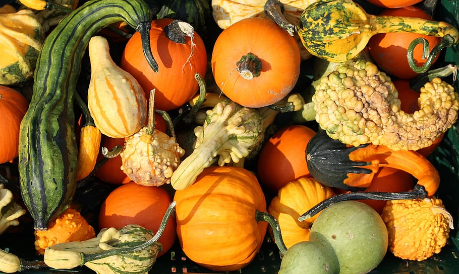 variety of vegetables, Pumpkins, Yellow, Food, cucurbita, choice choose HD wallpaper