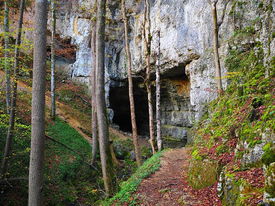 cave beside trees, falkensteiner cave, caves portal, baden württemberg, HD wallpaper