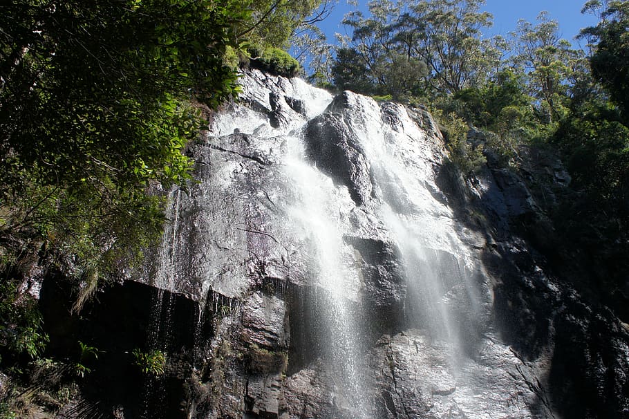 another waterfall, springbrook national park, queensland australia, HD wallpaper