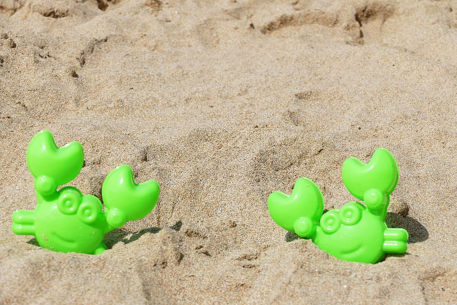 two green crab plastic toys on brown sand, beach, nature, sea