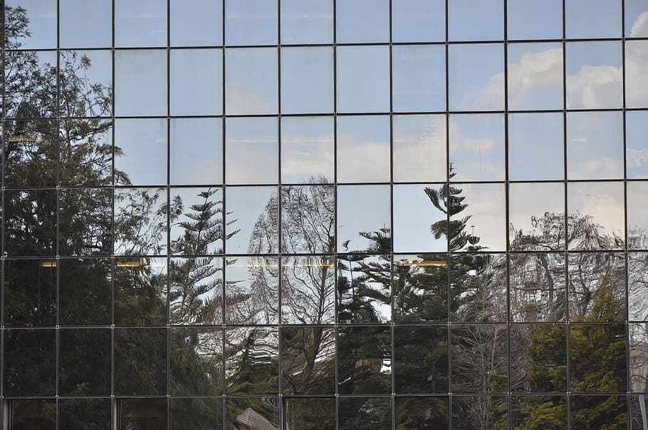 reflection, vegetation, glassware, office window, sky, architecture, HD wallpaper