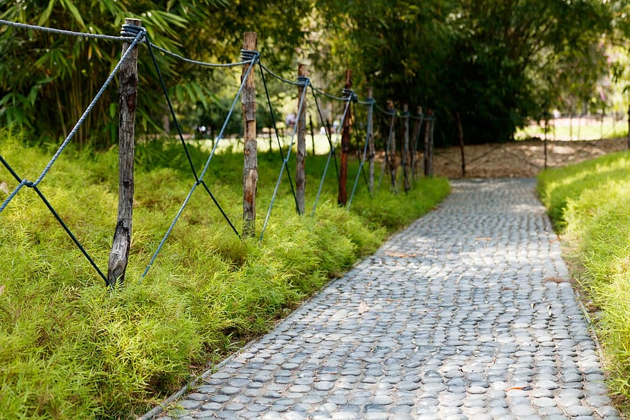 walk, green, path, park, plant, footpath, grass, no people HD wallpaper