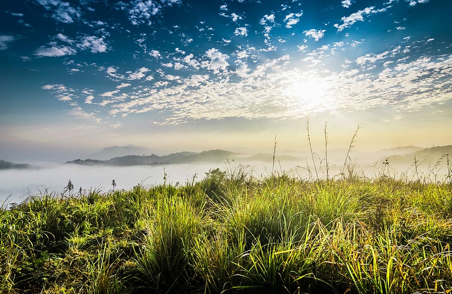 green grass under blue sky, water, nature, panoramic, landscape HD wallpaper