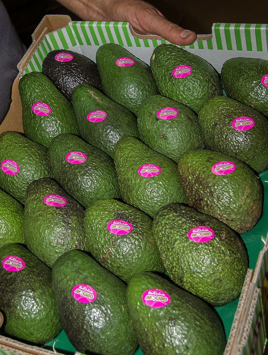 hass avocado, avocados, fruit, food, green, box, labels, market