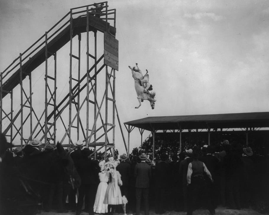 horse diving, vintage, jumping, tower, history, performance HD wallpaper