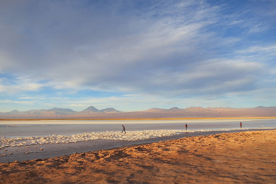 salt lake, atacama desert, dry, chile, landscape, south america, HD wallpaper
