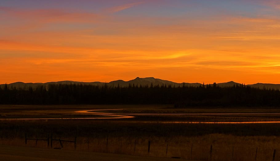 silhouette of trees during dawn, sunset, beautiful, landscape HD wallpaper
