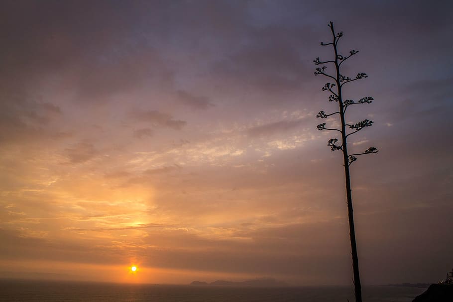 photography, image, canon, sunset, nature, sky, silhouette HD wallpaper
