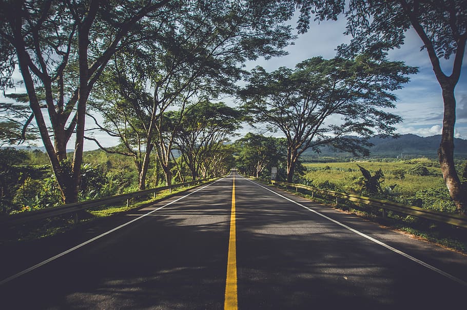 gray pave road during daytime, asphalt, environment, grass HD wallpaper