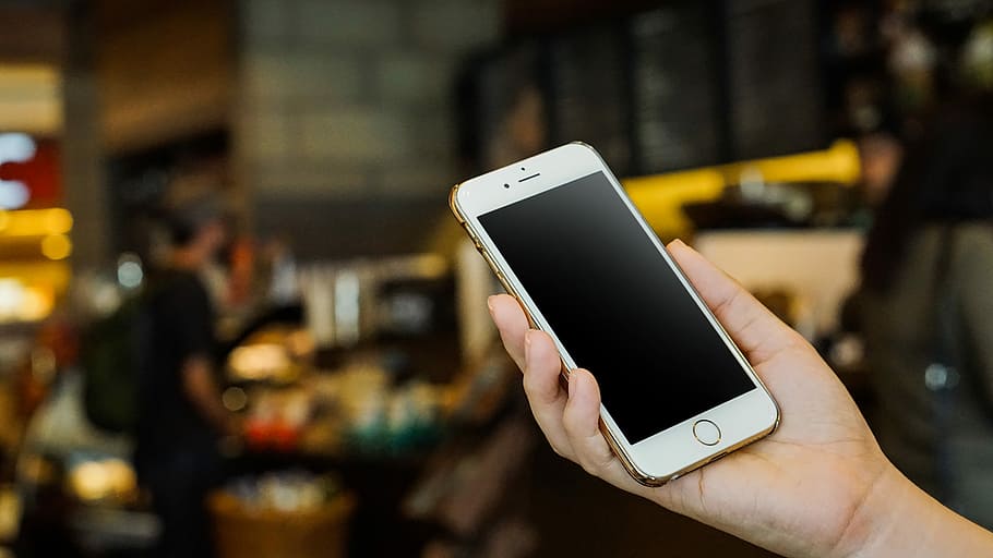 person holding gold iPhone 6, person holding turned off gold iPhone 6 HD wallpaper