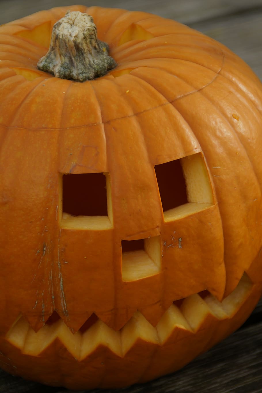 pumpkin, pumpkins, orange, bright, autumn, autumn decoration HD wallpaper