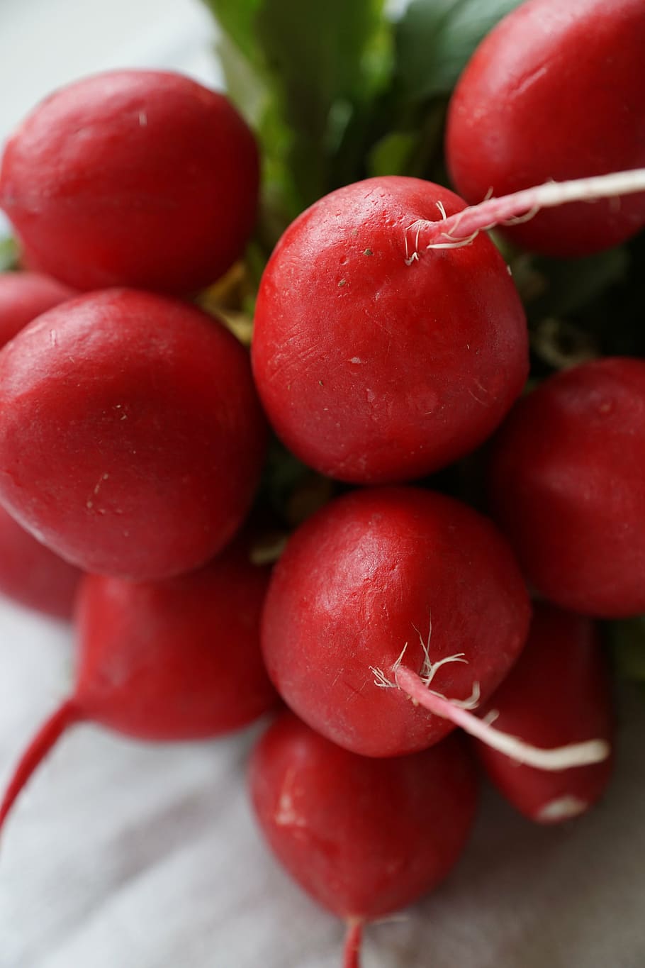 radishes, vegetables, red, food and drink, healthy eating, wellbeing HD wallpaper