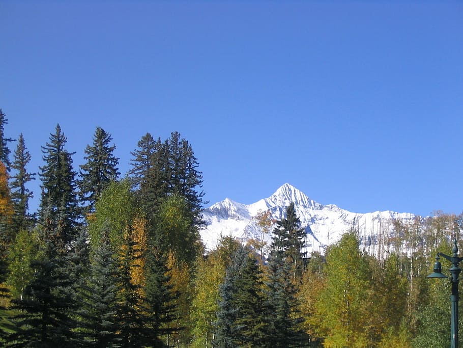 mountain, mountain top, trees, snow, scene, landscape, nature HD wallpaper
