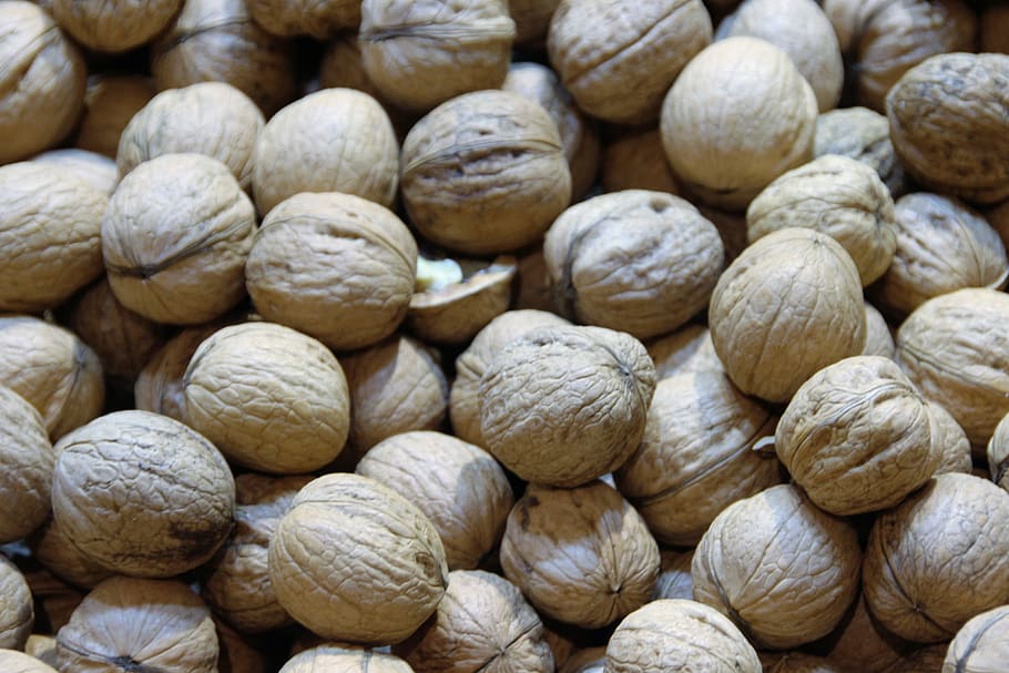 walnuts, macro, close up, seedling, eat, food, brown, fruit bowl HD wallpaper