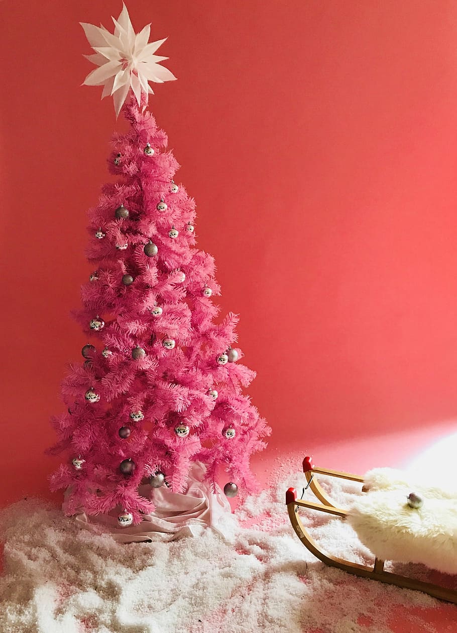 red Christmas tree decor, pink palm tree inside room, star, indoors HD wallpaper
