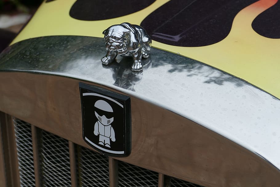 Auto, Oldtimer, Cooler, Dog, Guernsey, channel islands, england HD wallpaper