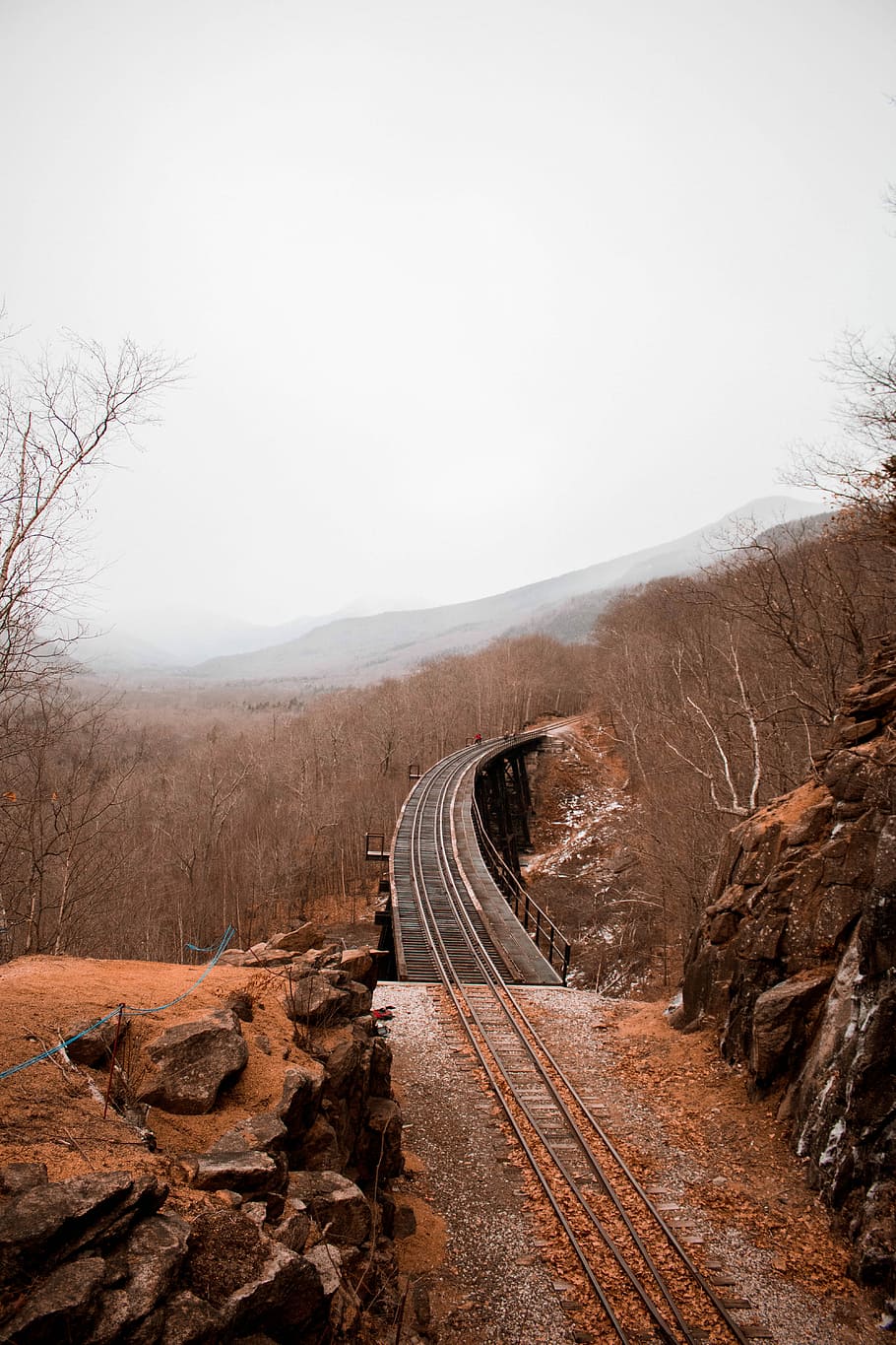 railway surrounded by bare trees during daytime, railway surrounded with bare forest HD wallpaper