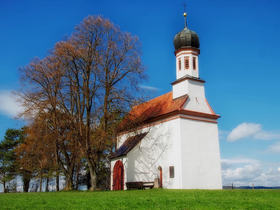 Church, Architecture, Steeple, Trees, faith, religion, christianity HD wallpaper