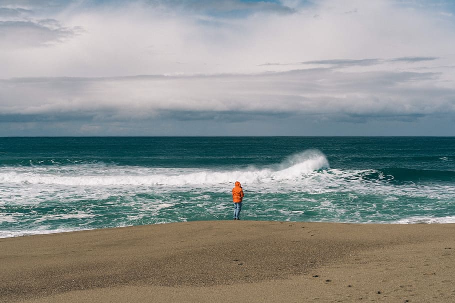 Видеть волны с берега. Берег Грина фото. Кто живет на пляже океана. Пляж волна находка отзывы.