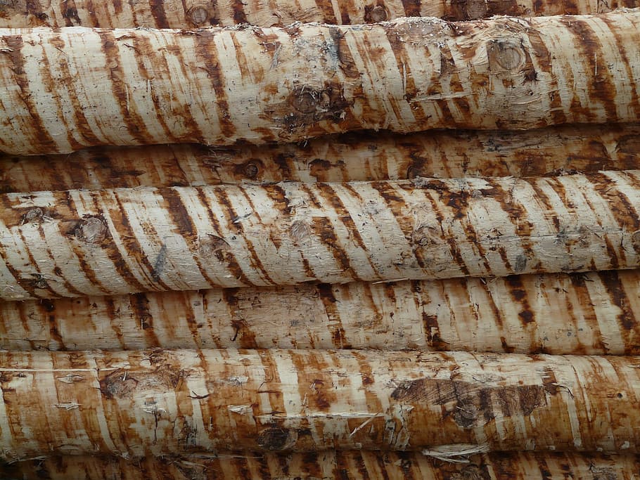 wood, tree trunks, timber, holzstapel, woodworks, peeled, lumber HD wallpaper