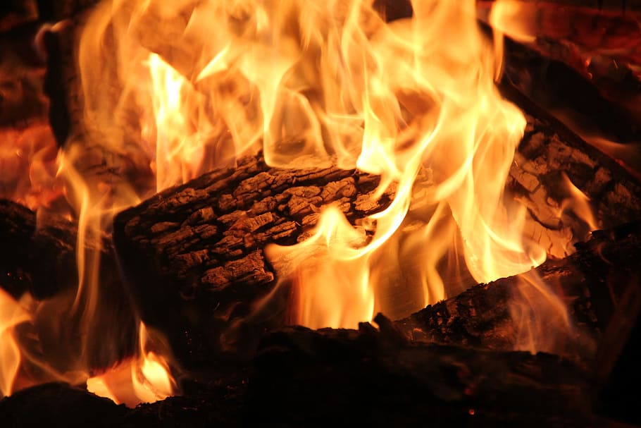 close-up photography of brown woods with fire, open fire, fireplace HD wallpaper