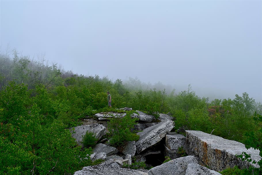fog, forest, stone, mountain, nature, mist, landscape, foggy HD wallpaper