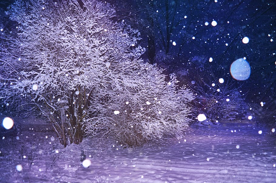 time lapse photography of snows near white leafed tree, Night HD wallpaper