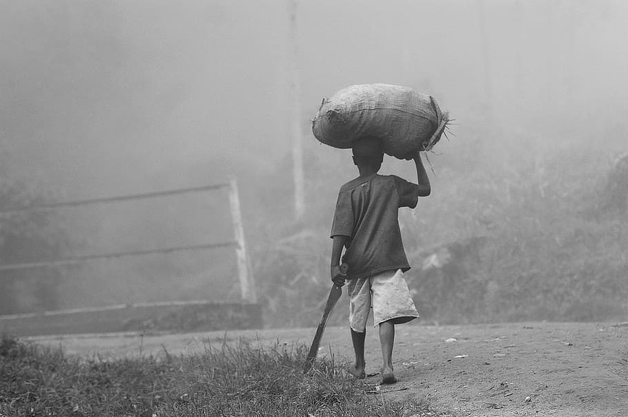 grayscale photography of man holding sack, farmer, africa, farmland