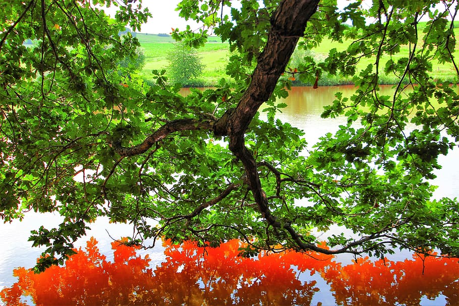 mirroring, water, red, reflection, landscape, nature, lake HD wallpaper