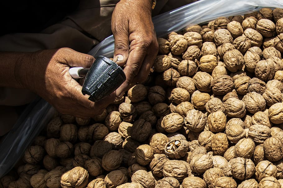 Nut, Walnut, Cracking, Nuts, cracking nuts, brown, healthy HD wallpaper
