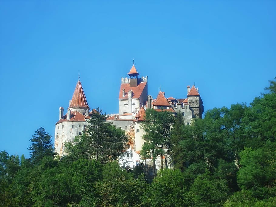 white and brown castle, bran castle, romania, trees, sky, landmark HD wallpaper