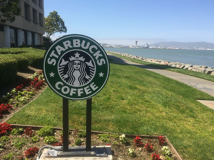 Starbucks Coffee signage placed on garden lawn, coffee shop, beach, HD wallpaper