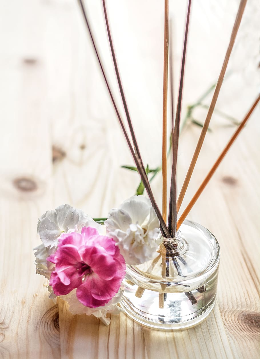 three petaled flower beside twigs in bottle on top of table, scent