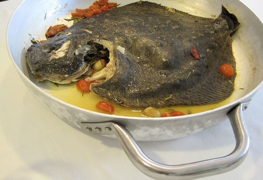 fish, seafood, rombo, pan, grilled, italian, food and drink HD wallpaper